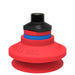 Piab Suction cup B15-2 Chloroprene, M5 male 0101639 - FluidAirFittings