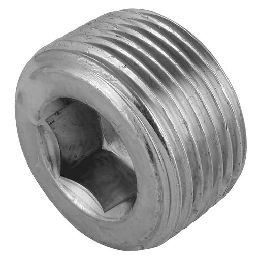 Burnett & Hillman 1" NPTF Hex Socket Steel Plug 09106/HD - FluidAirFittings