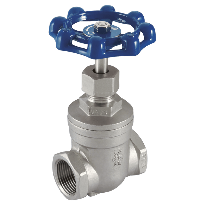Haitima 1.1/4" BSP 316 SS Gate Valve 2018-7001 - FluidAirFittings