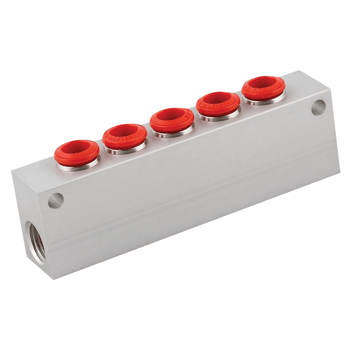 Aignep 06MM OD X 1/8" BSPP Female 5-Way Manifold P39-6-1/8 - FluidAirFittings