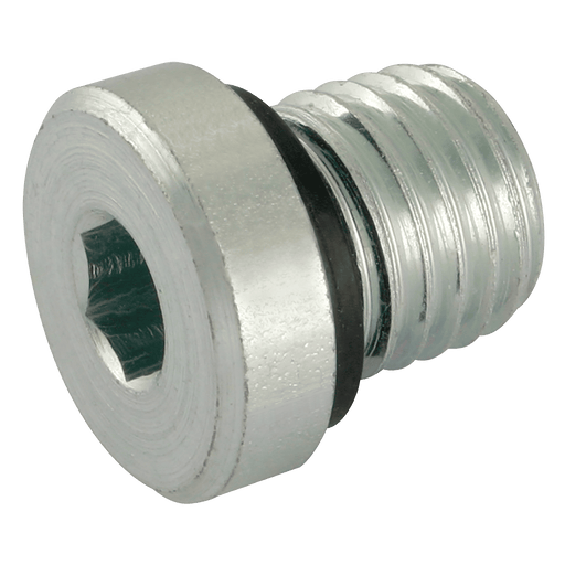 Danfoss Waltech M22 X 1.5 Male Metric Blanking Plug and Seal VSM22X1.5WD - FluidAirFittings