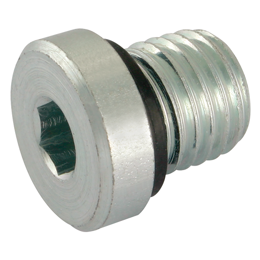 Eaton WalterscheId VSM12x1.5WD - M12x1.5 Male Metric Blanking Plug Andseal - FluidAirFittings