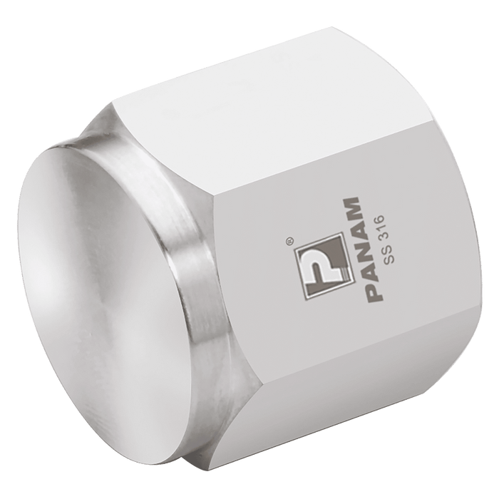 PANAM 3/4" NPT Female 316 Pipe Cap PCP-12 - FluidAirFittings