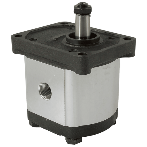 FT Pro - AGP2-C-19 3/4" BSP Parallel Female Group 2 Gear Pump - FluidAirFittings