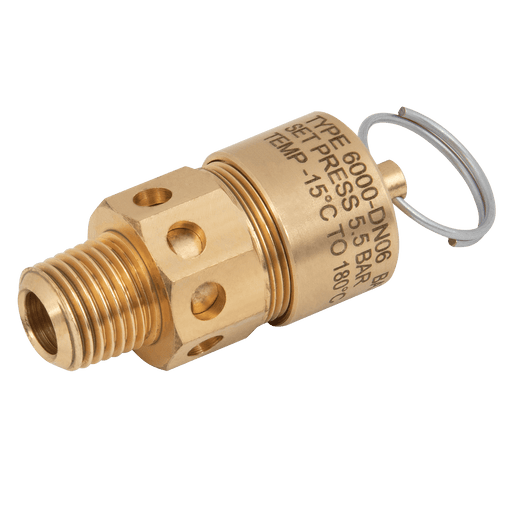 FT Pro - 6000/06/J/11.0 1/4" BSPT 6000 Relief Valve 11.0 Bar Set - FluidAirFittings
