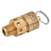 FT Pro - 6000/06/H/9.0 1/4" BSPT 6000 Relief Valve 9.0 Bar Set - FluidAirFittings