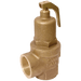 NABIC 3/4" 8.5 Bar Safety Relief Valve 542-20-8.5 - FluidAirFittings