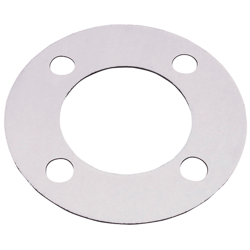 FT Pro - GSFF1-300 1" ID Gasket Seal Full Face 300LB N34 - FluidAirFittings