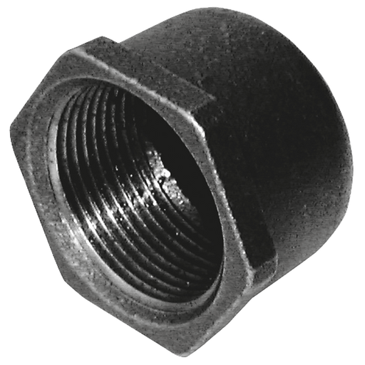 Crane 1.1/2" BSPT Female Blank Cap FIG185 Black C185-112N - FluidAirFittings