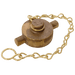 FT Pro - GMBCC2 2" BSPP Gun Metal Blank Cap and Chain - FluidAirFittings