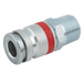 JWL 1/4" BSPT Male Coupling 53001213 - FluidAirFittings