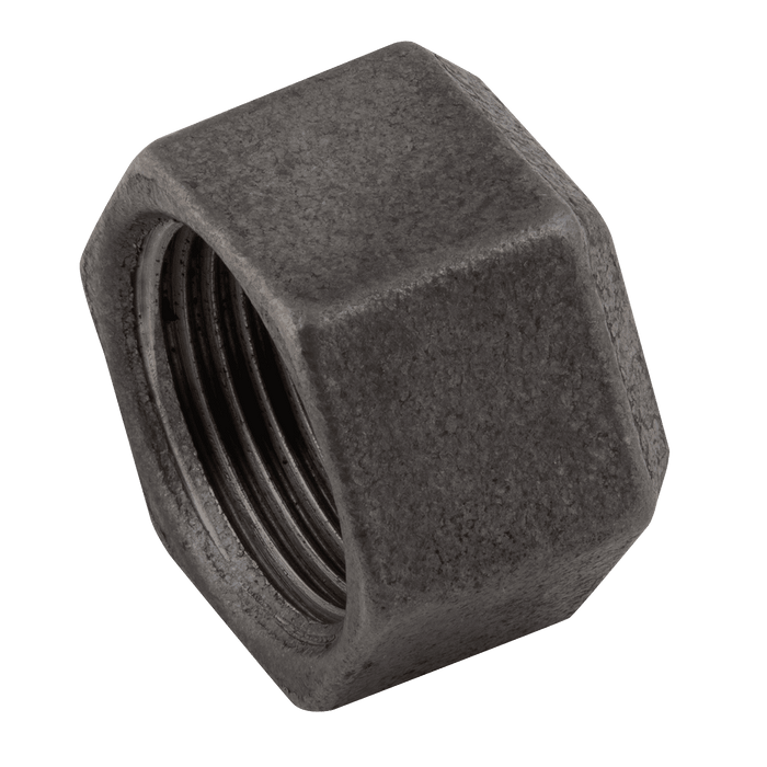 EE 3" Female BSPP Cap (Black) EE-MI300-3N - FluidAirFittings