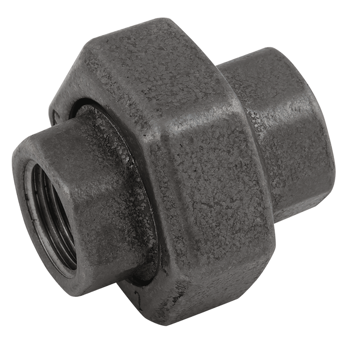 EE 1/2" BSPP/BSPP Fem/Fem Equal Union Black EE-MI340-12N - FluidAirFittings