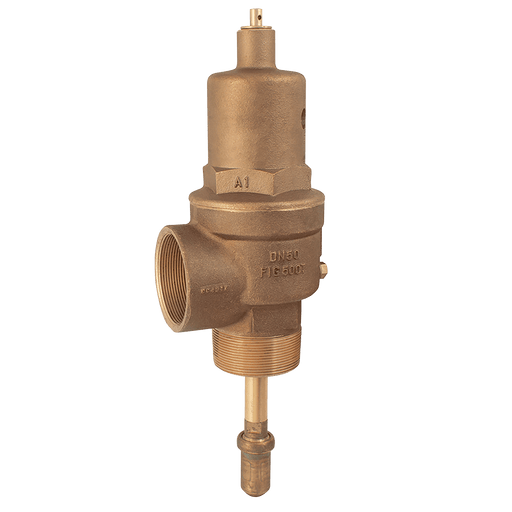 NABIC 2" BSPT Temp/Pres Safety Valve 2 Bar 400T-40-2 - FluidAirFittings