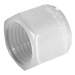 Tefen 1/2" BSPT Female Blanking Cap PV13-12 - FluidAirFittings