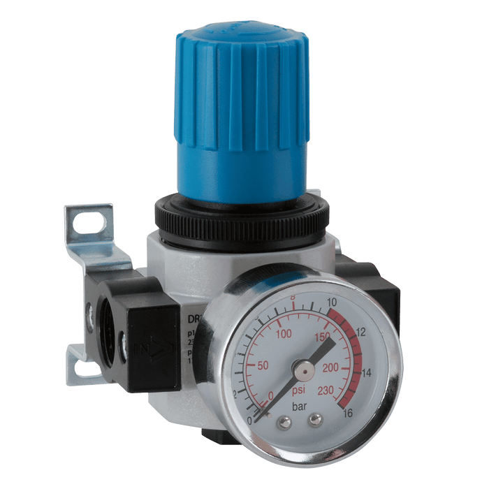 FT Pro 3/8" Regulator BSP DR200-03 - FluidAirFittings