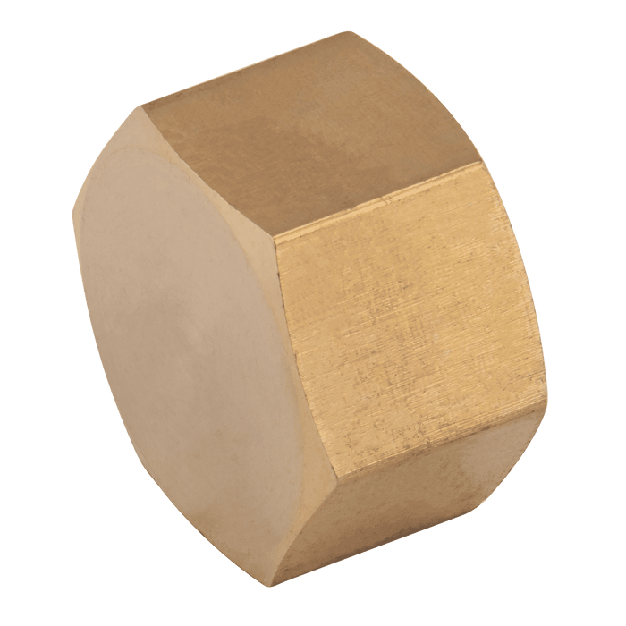 FT Pro - VCAP10 1/8" BSPP Female Cap - FluidAirFittings