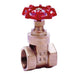 2.1/2" BSPP Female Gate Valve BE2015-40 - FluidAirFittings