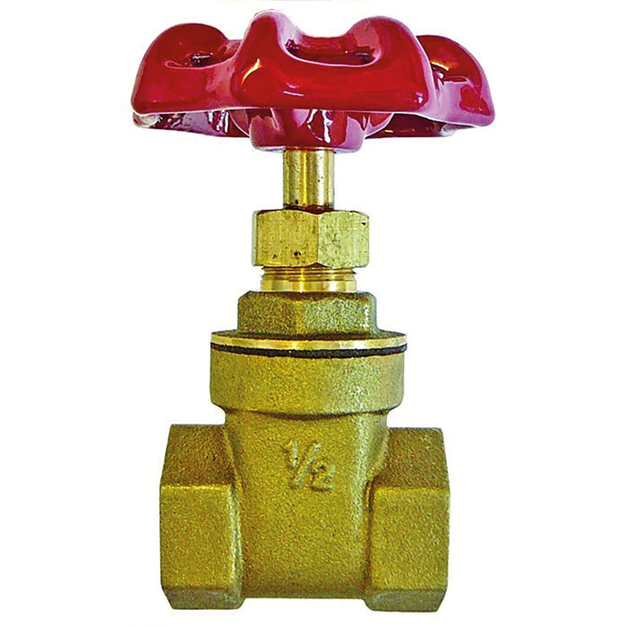 4" BSPT Female Gate Valve VGA64 - FluidAirFittings