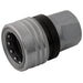 Holmbury Safety Coupling TEMA Interchange 3/4" BSPP F19F12GPE - FluidAirFittings