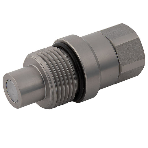 Holmbury 3/4" BSPP Female Flat Faced Plug HFT12-M-12G - FluidAirFittings