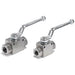SS 2 Way Ball Valve Full Bore 1/4" BSPP BVS20604G - FluidAirFittings
