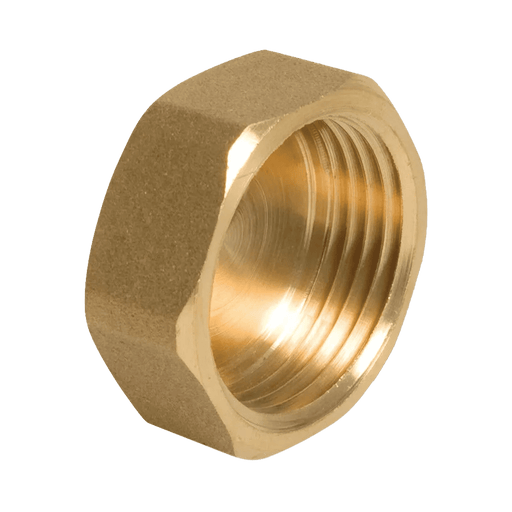 Female Plug/Cap BSPP BSPP Female Thread 3/4 CAP12 - FluidAirFittings