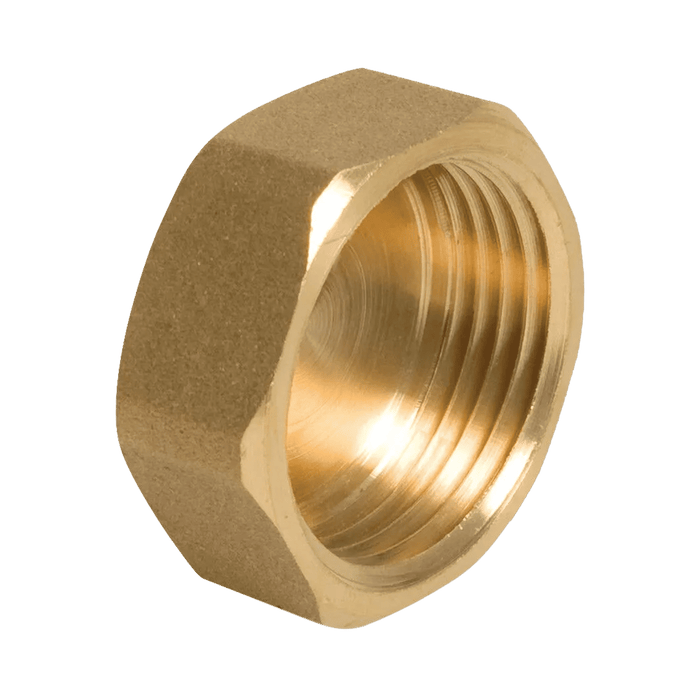 Female Plug/Cap BSPP BSPP Female Thread 3/4 CAP12 - FluidAirFittings