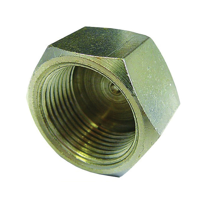 FT Pro 3/8" BSPP Female Cap CAP06NP - FluidAirFittings