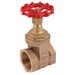 FT Pro - HUK25H-2 2" BSPT Gate Valve - FluidAirFittings