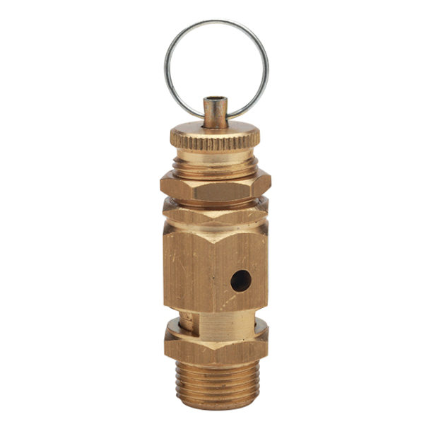 1/4" BSPP Male Safety Relief Valve BE1016-04-2/6