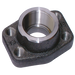 3/4" Butt Weld Flange