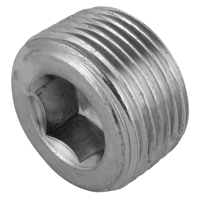 1/4" Nptf Hex Socket Steel Plug
