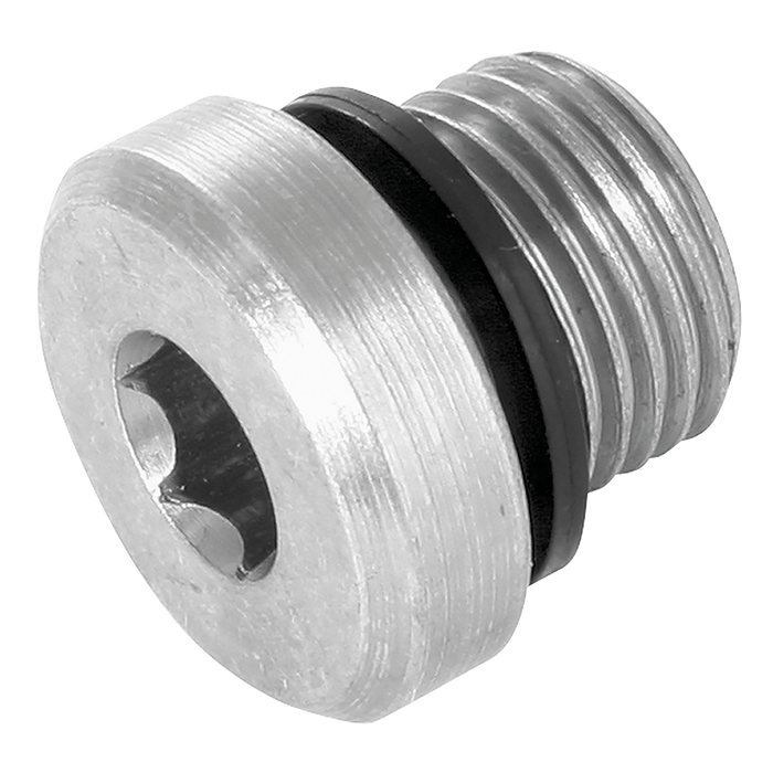 1/8" Bsp Socket Head Plug 3869 Seal