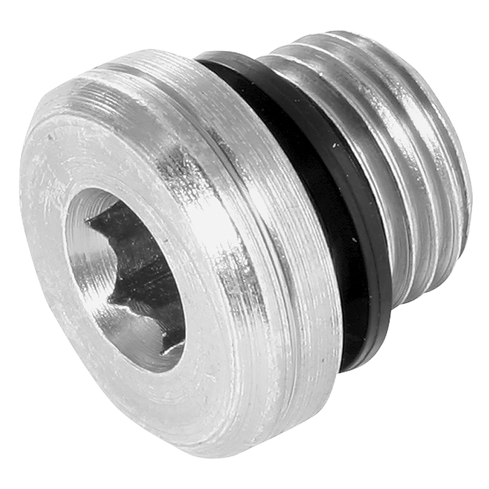 M10X1.0Mm Socket Head Plug 3869 Seal