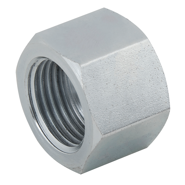 1/4" Bspp Jis Female Steel Cap