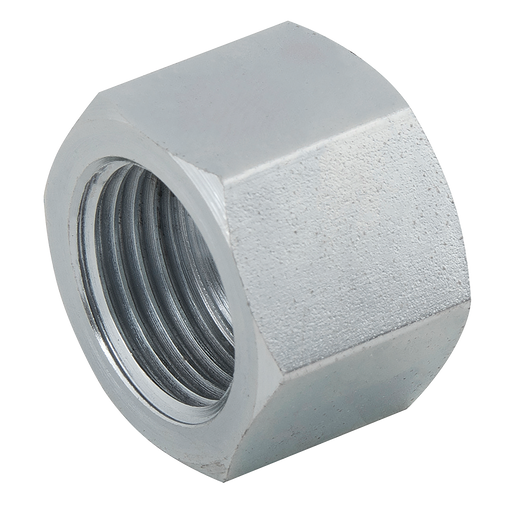 3/8" Bspp Jis Female Steel Cap