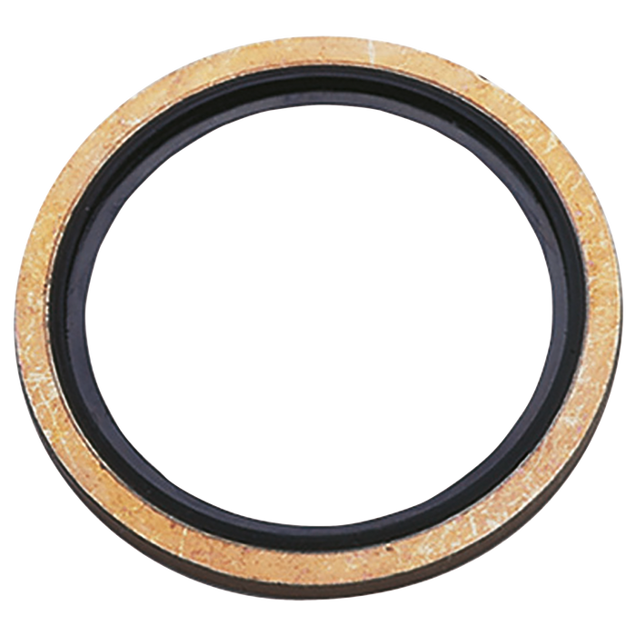 1" Bsp Bonded Seal Nitrile 