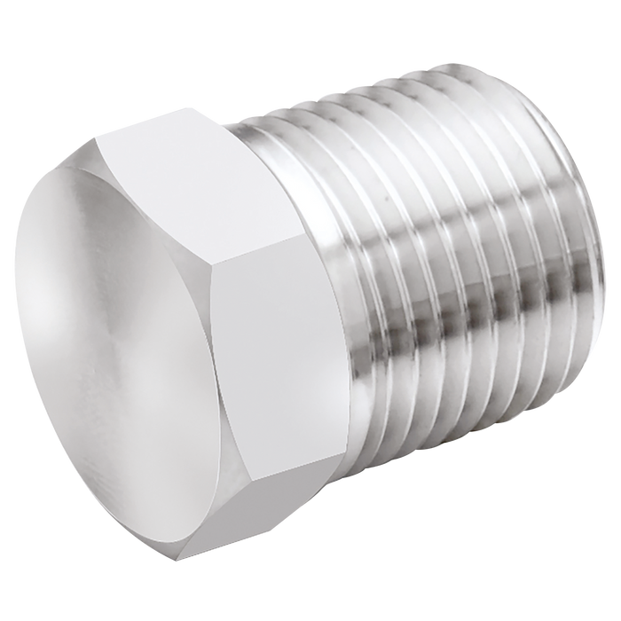 1/4" Bspt Male Plug 316S.S Hex Head