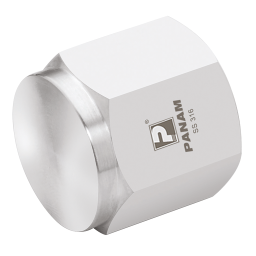 1/8" Bspp 6K Psi 316 Cap