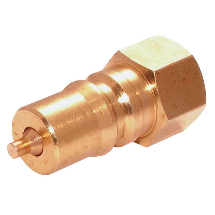 3/4" Bsp Parallel Female Plug