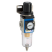 1/8" Bsp Parallel Female Semi Auto Drain