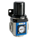 1/4" Regulator Bspp