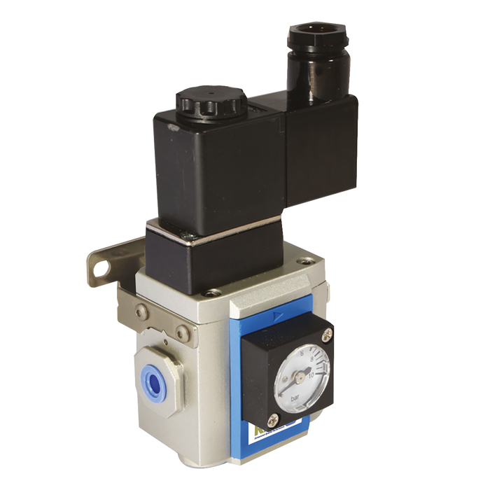 1/8" Soft Start Valve 24V Dc 200 Series