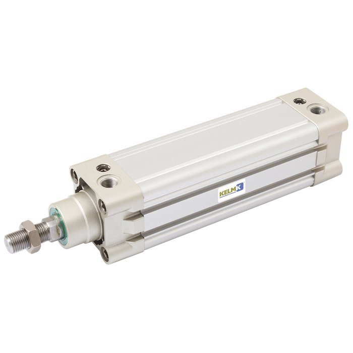 100Mm X 700Mmst Mag.Da Cyl St.St. P.Rod