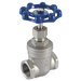1.1/4" Bsp 316 St/Steel Gate Valve