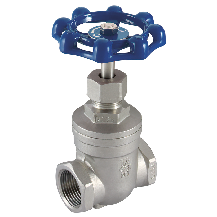 2" Bsp 316 St/Steel Gate Valve