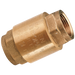 2.1/2"Bsp Fem Brass Check Valve Europa