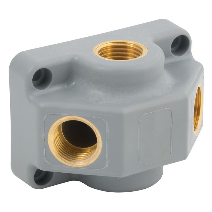 2X1/2" Bspp Inlet 2X1/2" Bspp Outlets