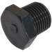 2" Bsp Threaded Plug